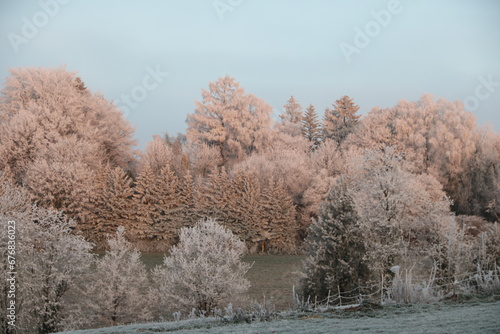 Naturlandschaft im Winter zwischen Wald und Wiese mit Raureif