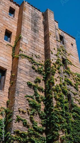 Exterior of an old brick building wth creeping wine overgrowth photo