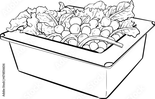 outline illustration of salad for coloring page