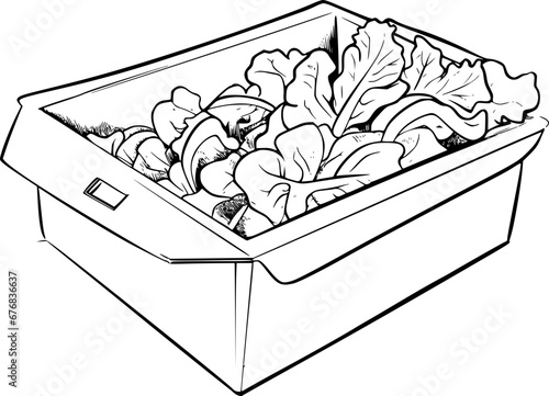 outline illustration of salad for coloring page