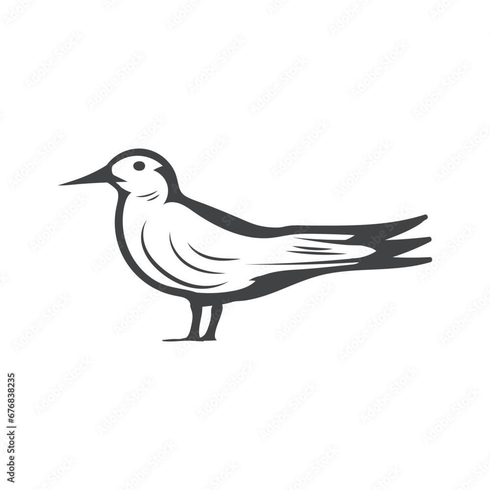 Fototapeta premium tern Bird retro style stock vector Illustration