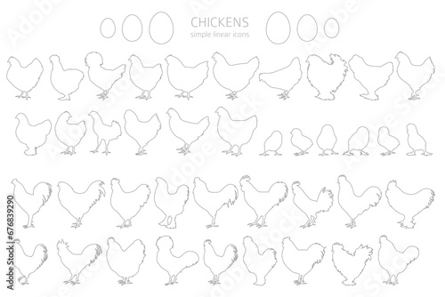 Chicken breeds silhouettes, simple linear style clipart. Poultry and farm animals