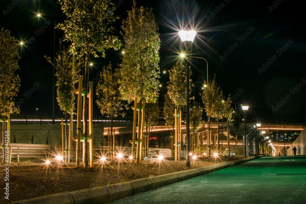 Empty road along with lights and trees at night