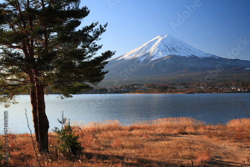 mt fuji and lake