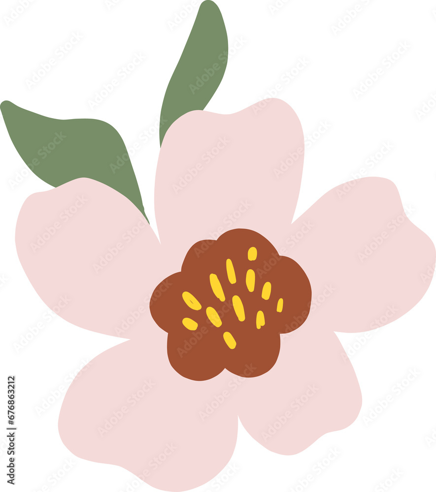 Wild Colorful Flower Blooming Wild Colorful Flower Blooming