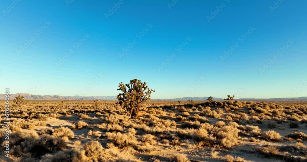 Aerial of the golden sun shining over the Mojave Desert in California behind the horizon Aerial of the golden sun shining over the Mojave Desert in California behind the horizon