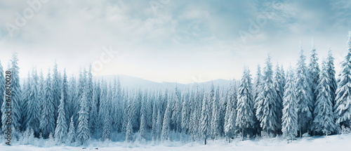 wallpaper of snow covered pine trees during daytime © Uwe