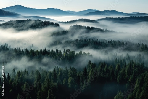 Aerial view of a mist-covered forest, Green forest  © Tar