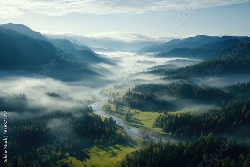Aerial view of a forest covered with mist and a river flowing through the forest, green forest