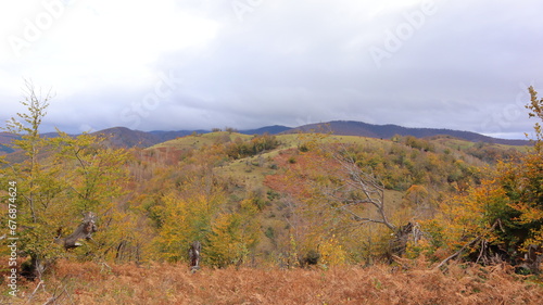 autumn in the mountains © hulbar