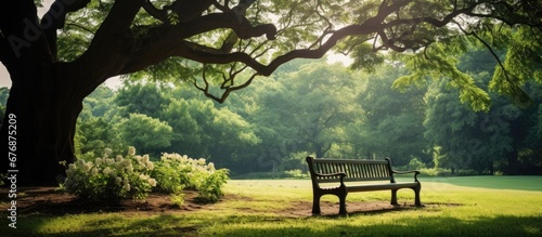 In the old wood park a natural and relaxing outdoor bench sits amidst the green garden providing a fresh air experience and a green park background for those seeking solace in nature