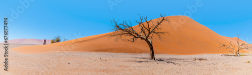 A view at the base of Dune 45 in Sossusvlei, Namibia in the dry season