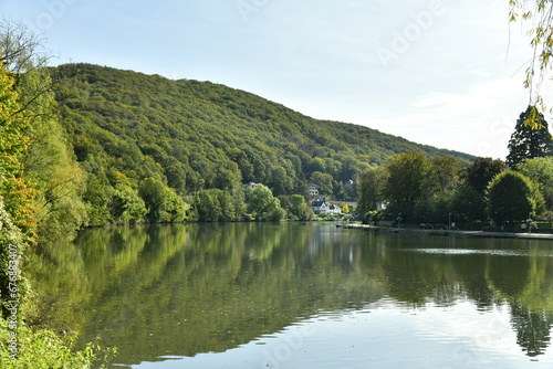 Reflet de la végétation et collines dans les eaux de la Meuse à Lustin au sud de Namur 