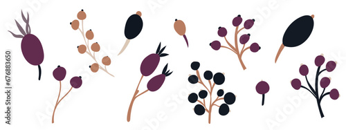 Autumn berries in cozy autumn colors. Set of flat isolated illustration. hand drawn vector decor for scrapbooking, textile or book covers, wallpapers, graphic art, printing, hobby, invitation.