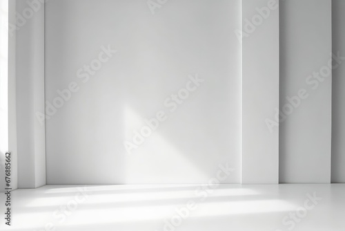 Abstract white studio background for product presentation. Empty room with shadows of window and flowers and palm leaves . 3d room with copy space. Summer concert. Blurred  Generative AI