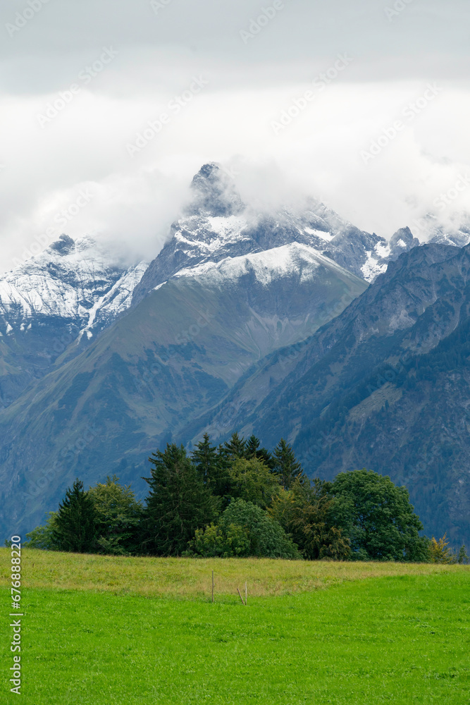 Baumgruppe im Allgäu vor wolkenverhangenen Bergen