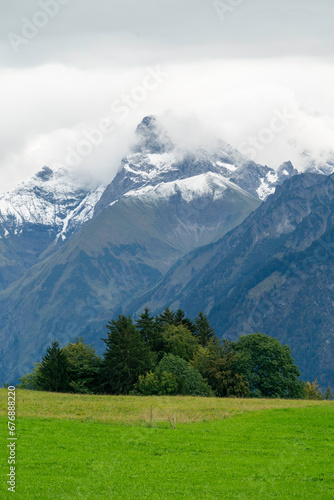 Baumgruppe im Allgäu vor wolkenverhangenen Bergen