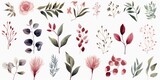 Watercolor floral illustration individual elements set - green leaves, burgundy pink peach blush white flowers, branches. Wedding invitations fashion prints. Eucalyptus, olive, peony, Generative AI