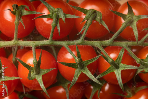 Top view of cherry tomatoes branch, close up,  © Marek