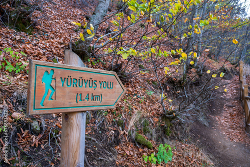 Signboard in a forest. The sign says "Walking Path" in Turkish.