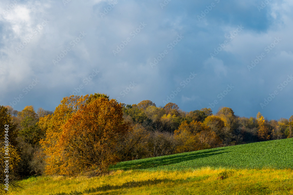 Prächtiger Herbst in der Natur in Marburg, Wälder und Felder