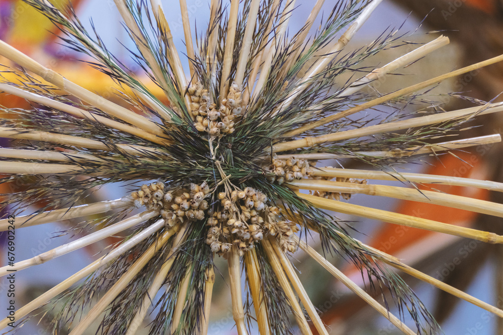 Composition of dry straw and dry grass. Composition of dry straw and dry grass.