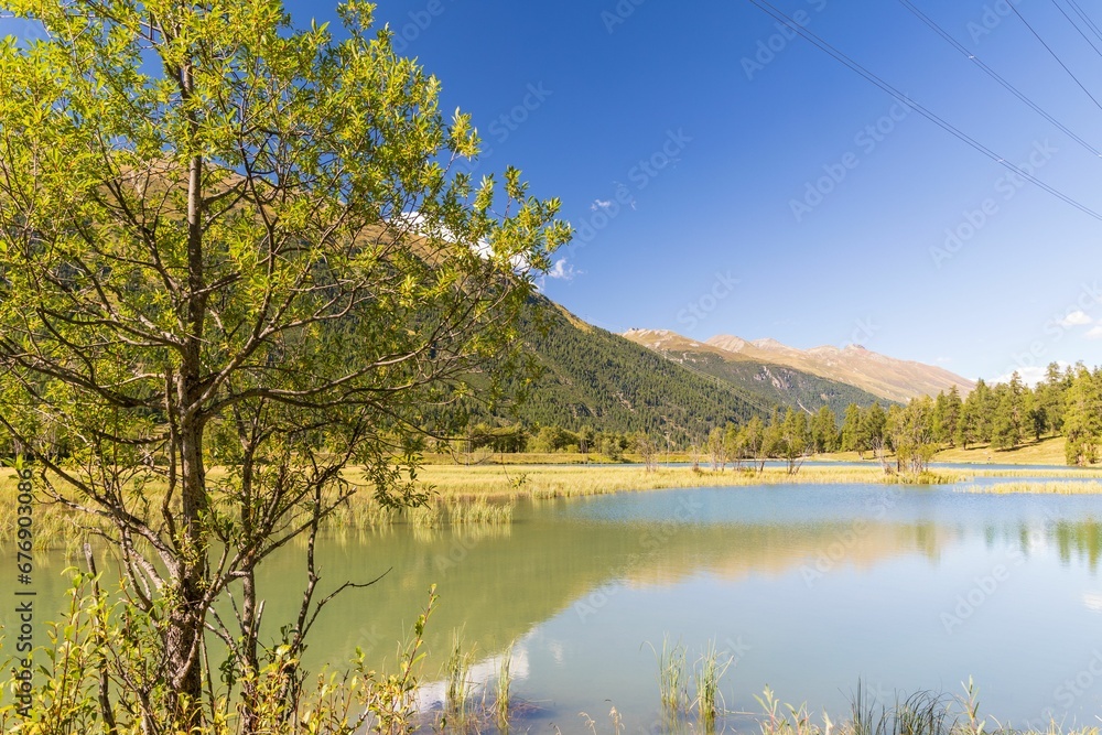 View of transparent water of mountain lake surrounded by pine trees in green valley on national park