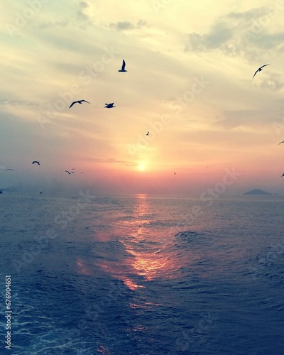 Vertical shot of birds silhouette flying over the sea at sunset © Wirestock