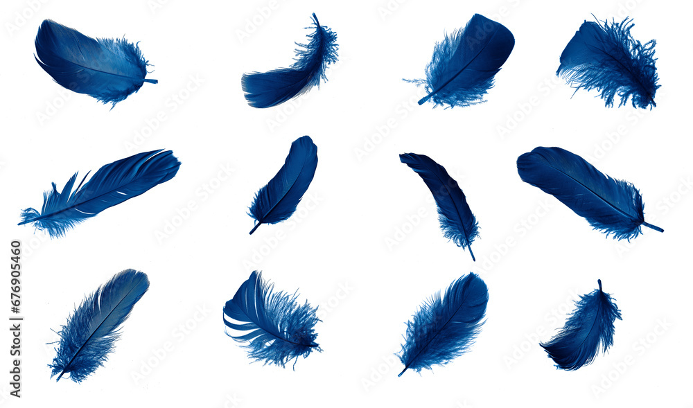 blue feather isolated on white - obrazy, fototapety, plakaty 