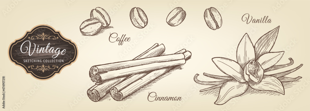 Coffee, cinnamon and vanilla sketches in vintage style. Vegetarian, organic food. Vector Illustration. 