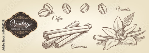 Coffee, cinnamon and vanilla sketches in vintage style. Vegetarian, organic food. Vector Illustration. 