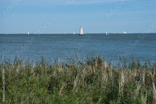 in the foreground the grassy bank with several sailboats on the water with a lovely blue sky