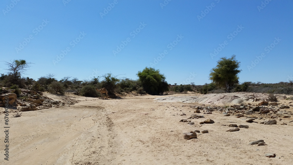 Laas Geel, Somalia