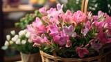 Bouquet of pink alstroemeria flowers in a basket. Mother's day concept with a space for a text. Valentine day concept with a copy space.
