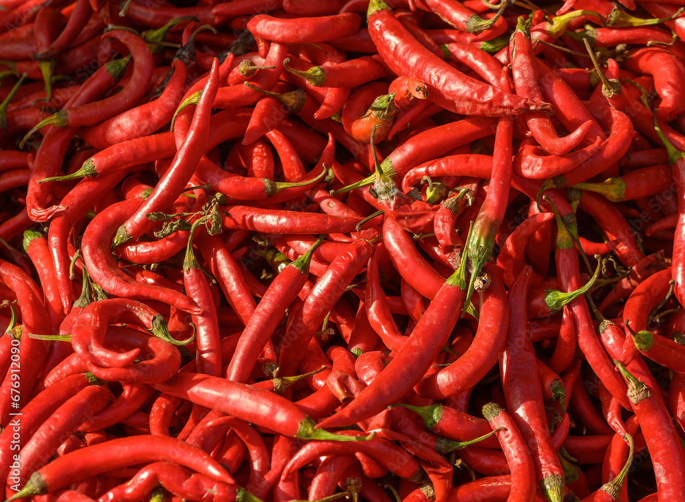 fresh appetizing red hot pepper at the bazaar on the island of Cyprus in autumn 1 fresh appetizing red hot pepper at the bazaar on the island of Cyprus in autumn 1