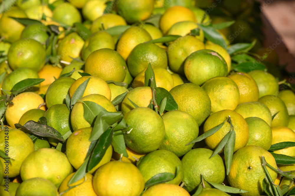 fresh appetizing tangerines at the bazaar on the island of Cyprus in autumn 1