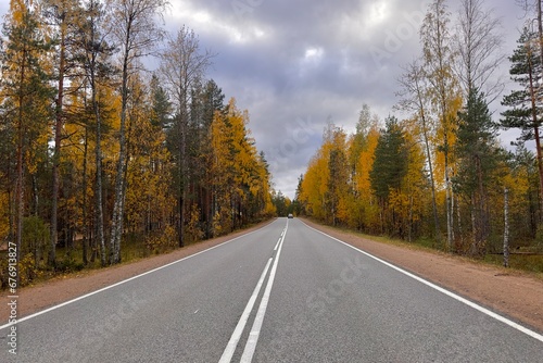 Beautiful view on asphalt road and golden autumn forest, trees