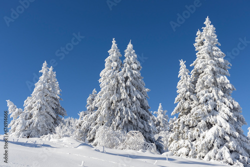 Winter landscape of Vitosha Mountain, Bulgaria © hdesislava