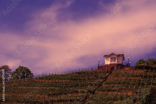A small house was built on the top of a vineyard