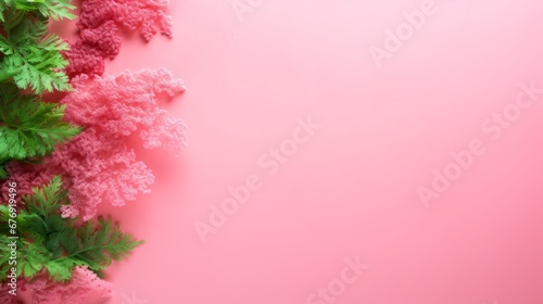 Seaweed on pink background.