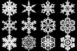 Snowflake Collection: A captivating close-up of an elegant collection of snowflakes, each one unique and intricate.