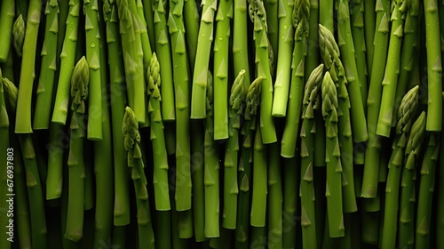 Ingredient plant wood background bunch vegetable closeup nature organic asparagus food raw fresh green
