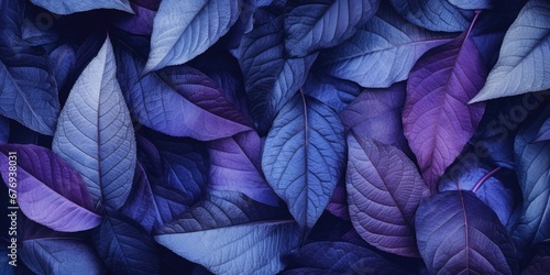 Closeup thick leaves in futuristic tinted purple hue 
