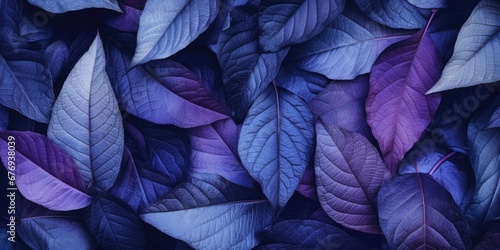 Closeup thick leaves in futuristic tinted purple hue  © Creative Canvas