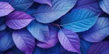 Purple tropical leaves luminous background 