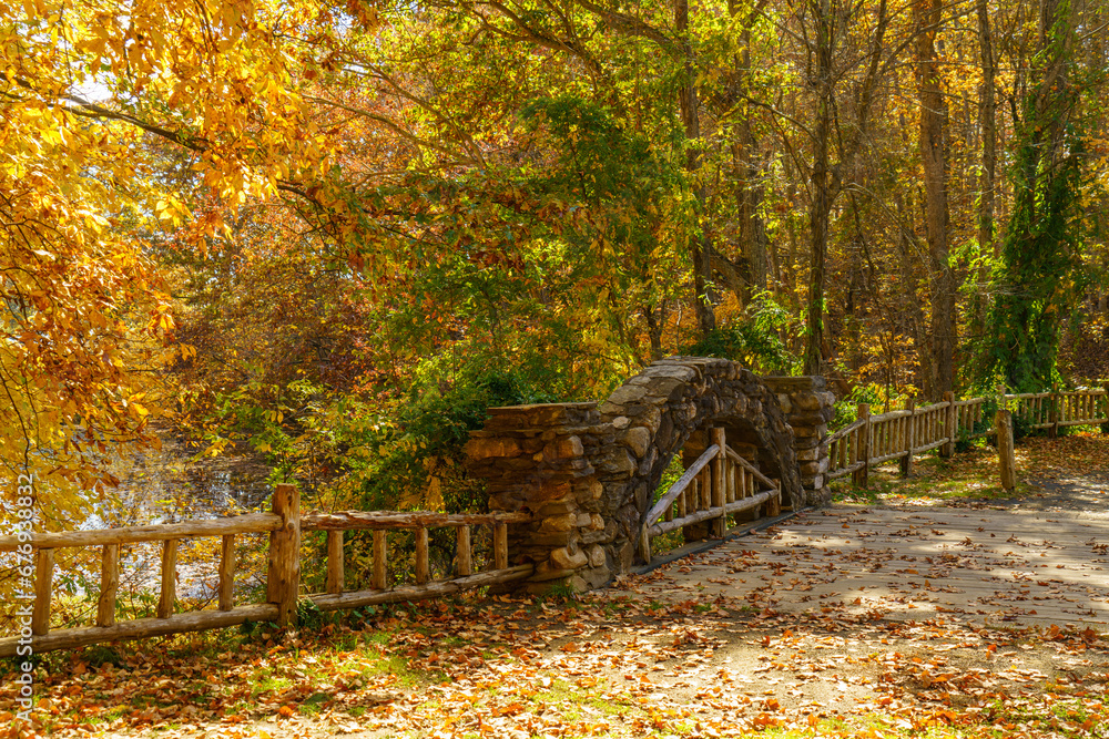 Arched footbridge in autumn