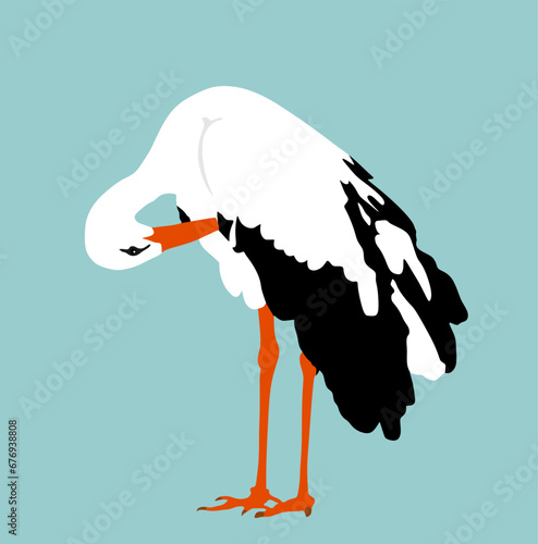 Washing body by beak elegant stork vector illustration isolated on blue background. Visitant migration bird stork cleaning feathers and wings. Water echo system. Animal bird hygiene.