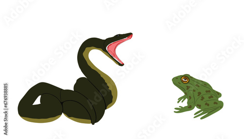 Curl open jaws snake attack frog prey vector illustration isolated on white background. Hungry serpent. Poison snake deadly venom. Natural food chain. Amphibian frog in danger treat against predator.