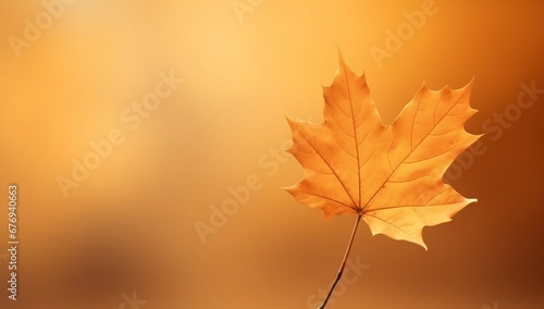 A single autumn leaf with copy space 