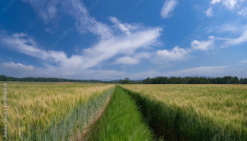 風景 風景
